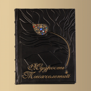 Книга Мудрость тысячелетий (M2)