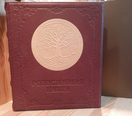 Родословная книга "Истоки"