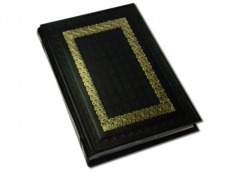 Кожаный Ежедневник