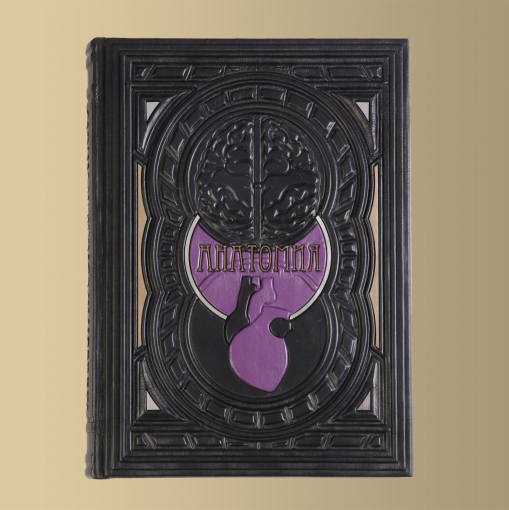 Книга "Анатомия. Иллюстрированный атлас"