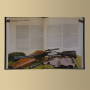 Книга "1000 видов огнестрельного оружия (M3)"