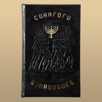 Книга "Синагоги"