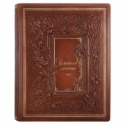 Родословная книга "Сімейний літопис"