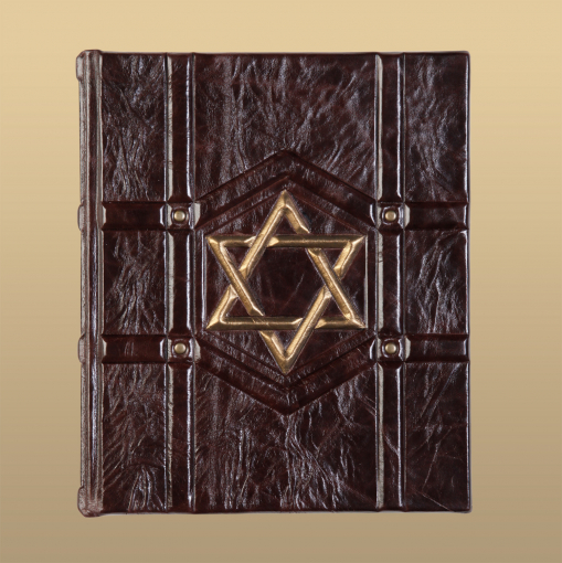 Книга Евреи в 20 столетии