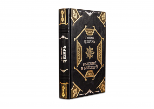 Книга Гай Юлий Цезарь "Разделяй и властвуй"