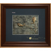 Знак зодиака Рыбы