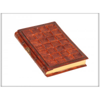 Дневник "СИЕНА "