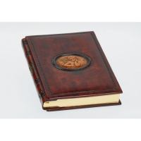 Дневник "ЗАДУМЧИВЫЙ АНГЕЛ"