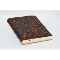 Дневник "ДРАКОН БИГ"